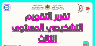 تحميل تقرير التقويم التشخيصي المستوى الثالث PDF تقرير التقويم التشخيصي المستوى الثالث