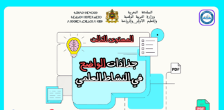 جذاذات الواضح في النشاط العلمي المستوى الثالث جذاذات الواضح في النشاط العلمي المستوى الثالث