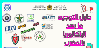 دليل التوجيه ما بعد الباكالوريا بالمغرب