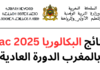 نتائج البكالوريا 2025 بالمغرب نتائج البكالوريا 2025 بالمغرب الدورة العادية